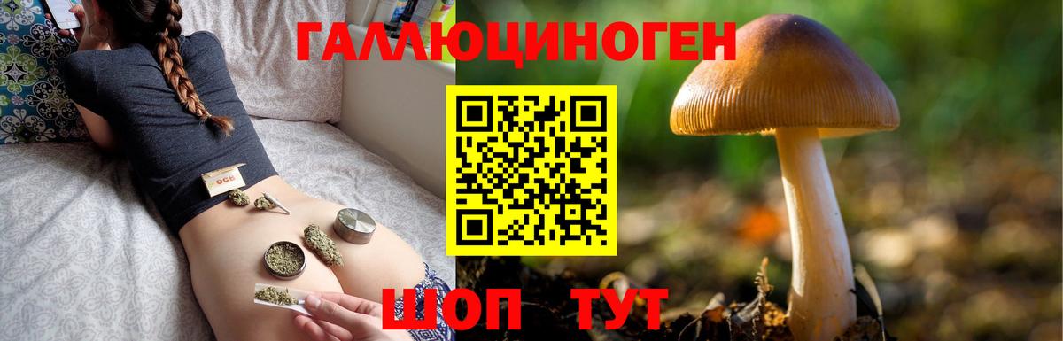 Галлюциногенные грибы Psilocybine cubensis  Вход с VPN  дарнет шоп  Галлюциногенные грибы ЛСД  Лесозаводск 