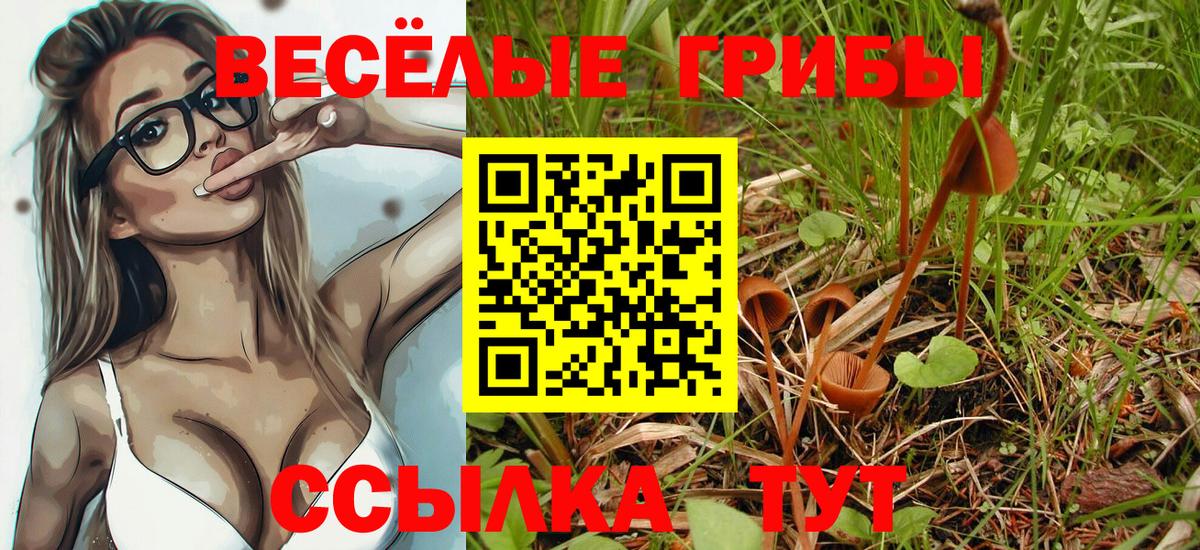 Псилоцибиновые грибы мухоморы Лесозаводск